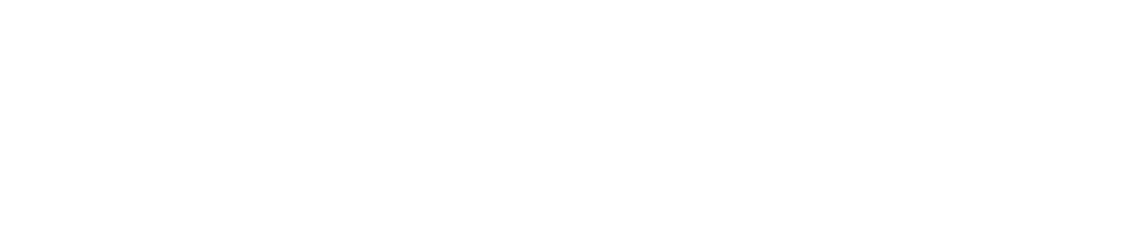 IVMS_Logo_LAn