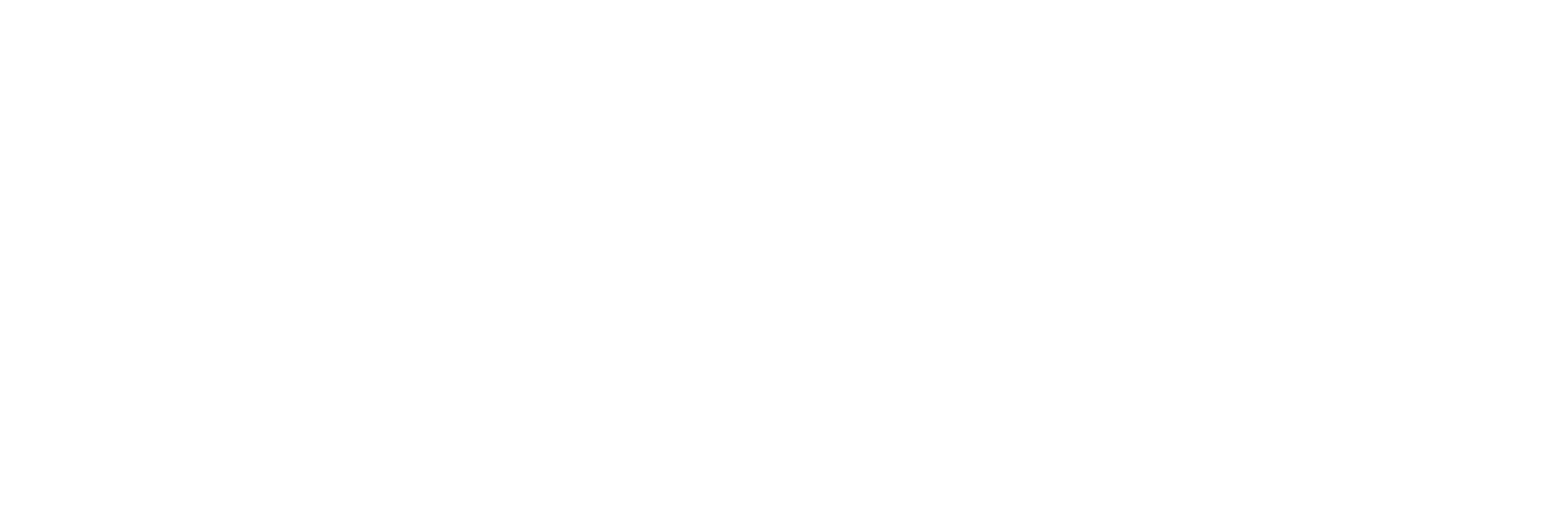 ASSAABLOY_neg